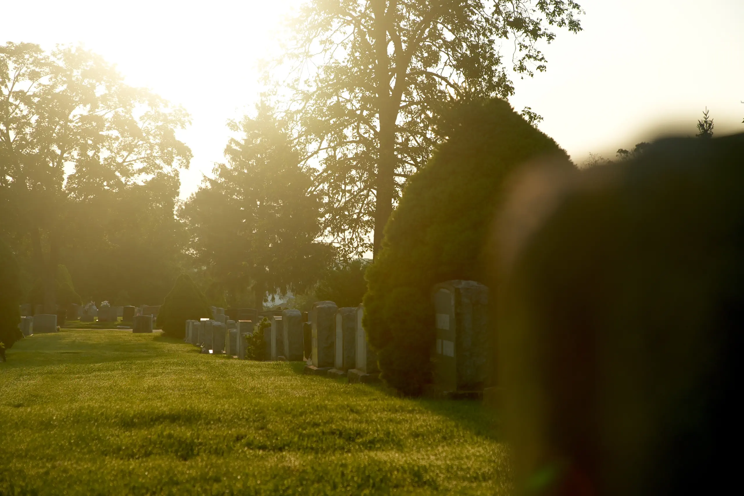 sunshine on grounds Gold sun rays shine down on Glendale Cemetery's grounds.